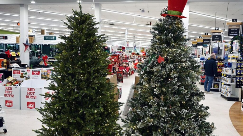 Tariffs Hike Artificial Tree Prices, Boost Demand for Real Trees