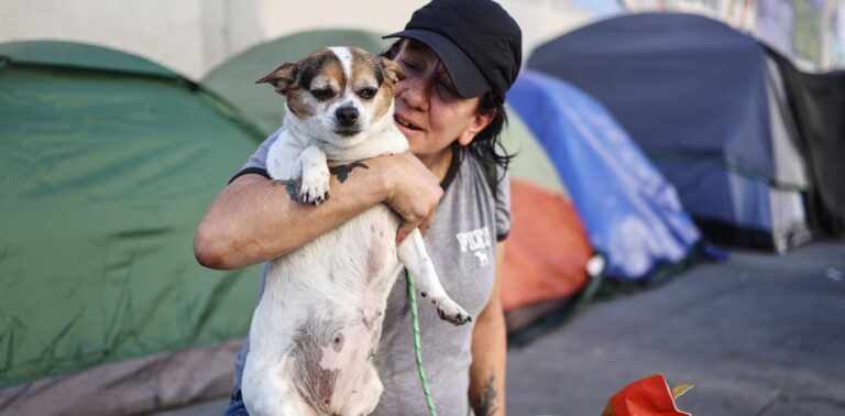 A pet-friendly homeless shelter pilot reduced the rate of homelessness among the people it helped in California