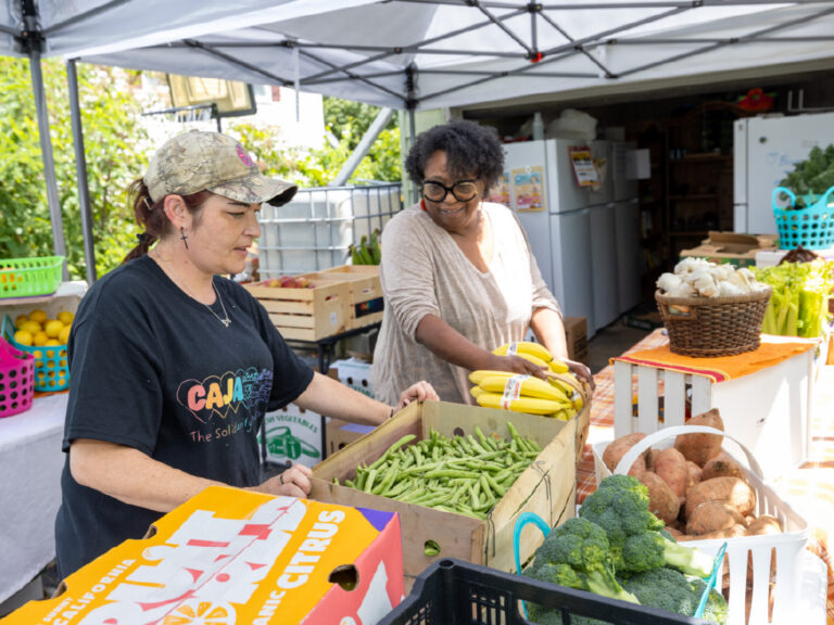 NC’s Healthy Opportunities Pilot is coming back — but not at full strength