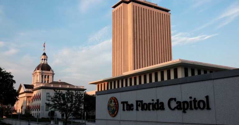 Minimum wage, animal cruelty and court orders: What to know about new Florida laws taking effect Oct. 1