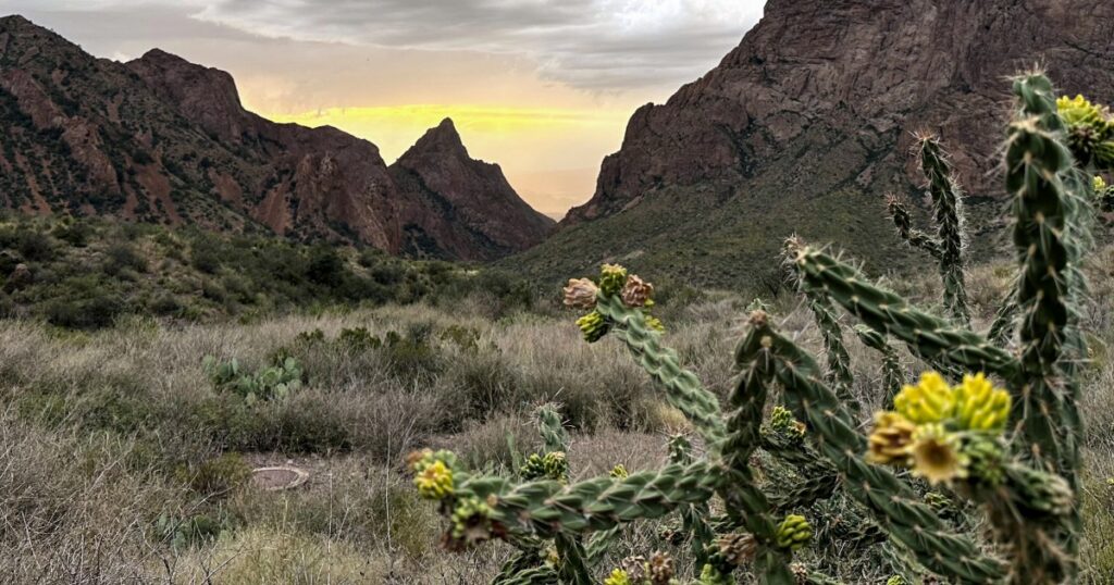 Federal court temporarily blocks Trump administration’s border wall in Texas’ Big Bend region